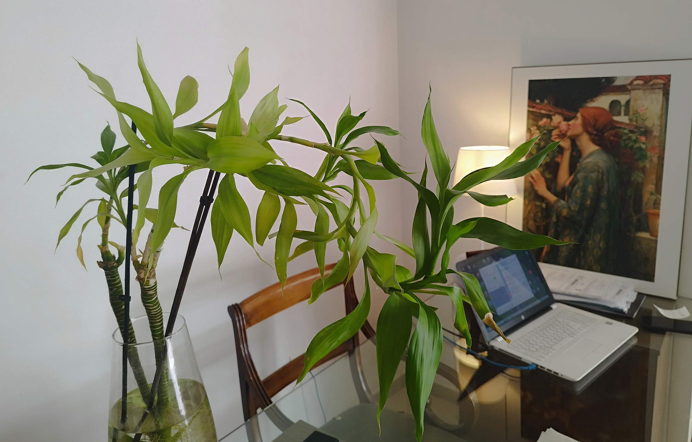 Dentista Asisas Granada